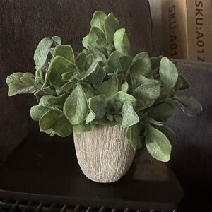 Artificial Greenery in Cream Textured Pot - Home Accents